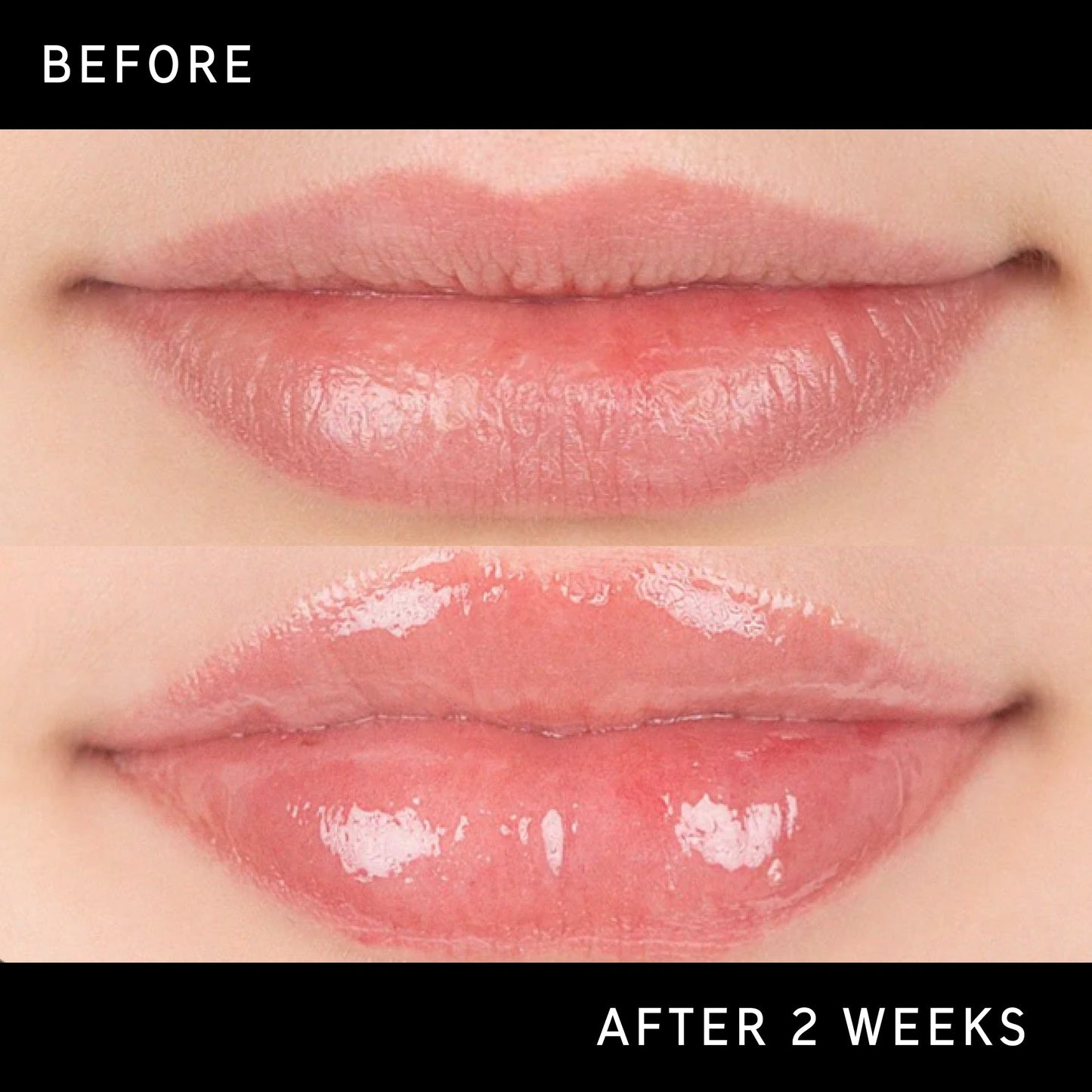 lip-plumping-duo-y9 DTC-Top15_Amends_Tripeptide-Lip_B_A.jpg