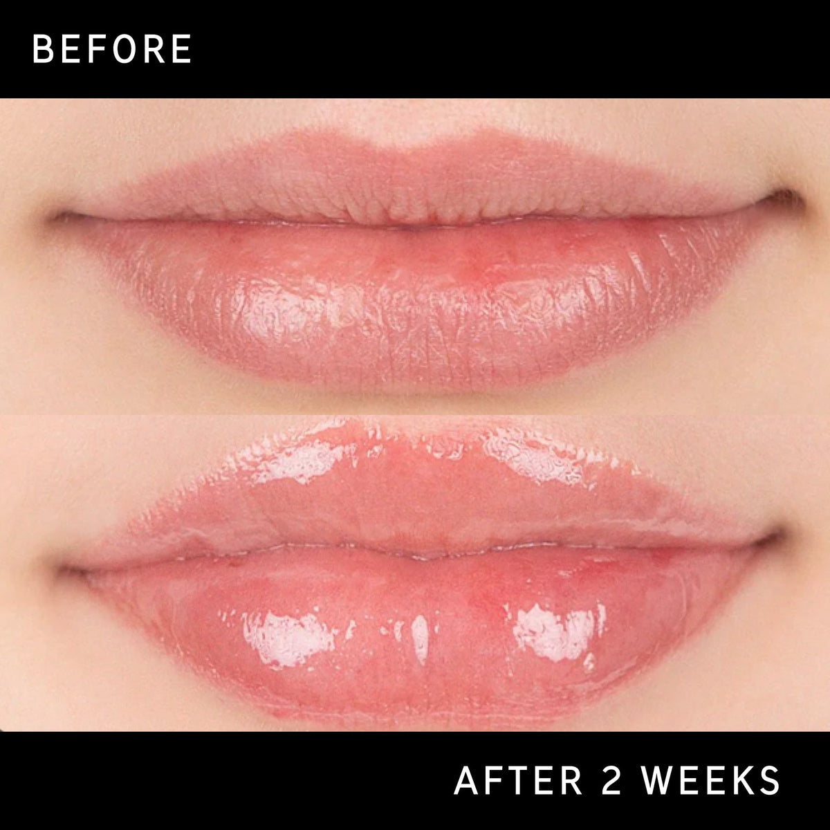 tripeptide-plumping-lip-balm-m2 DTC-Top15_Amends_Tripeptide-Lip_B_A.jpg